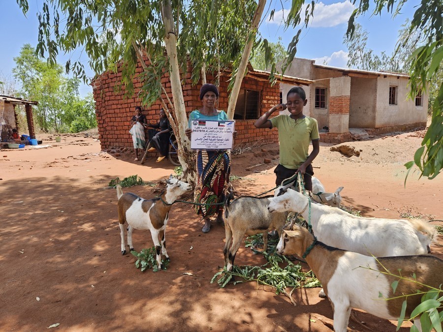 DIF Distributed Livestock Animals for Livestock Commercial Farming.